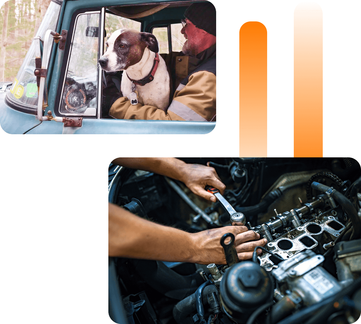 Dog in truck and engine being repaired.